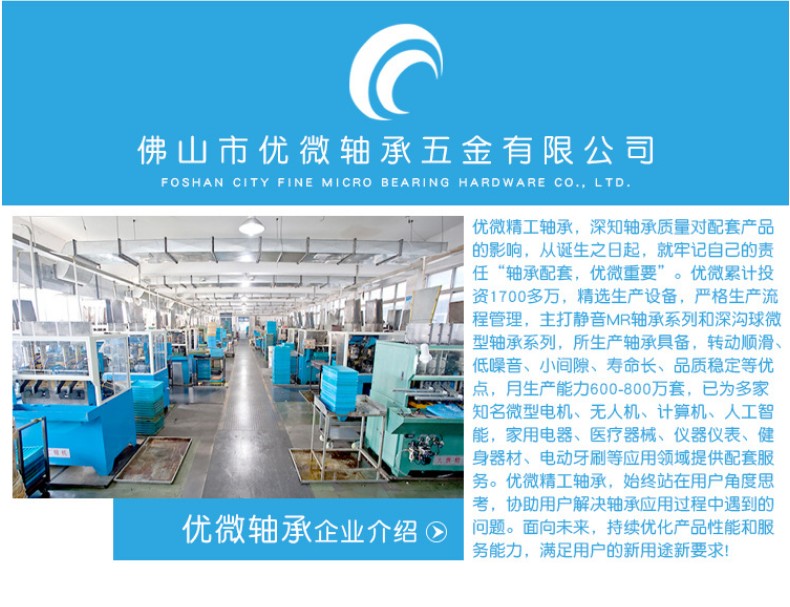 打磨機(jī)軸承012-790-607