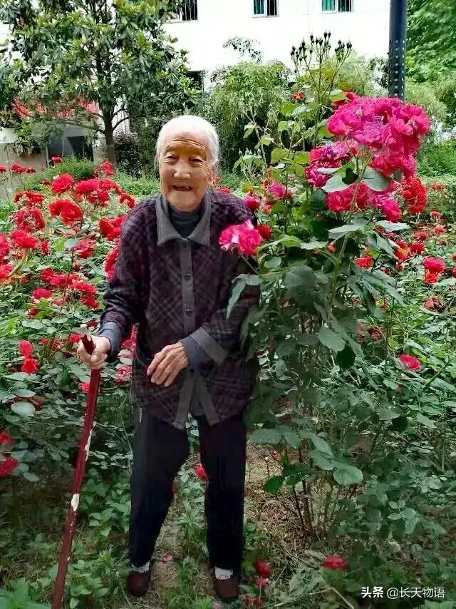 来到这个世上,（来到这个世上到底图什么）