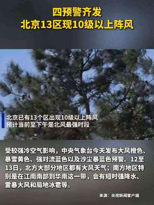 合作伙伴 第8页