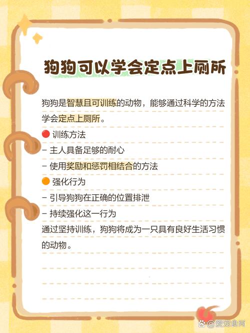 600一节课教狗如厕,
