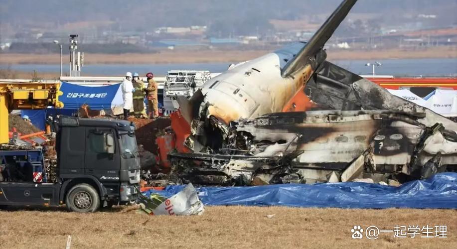 韩国发生飞机坠毁,韩国发生飞机坠毁事件