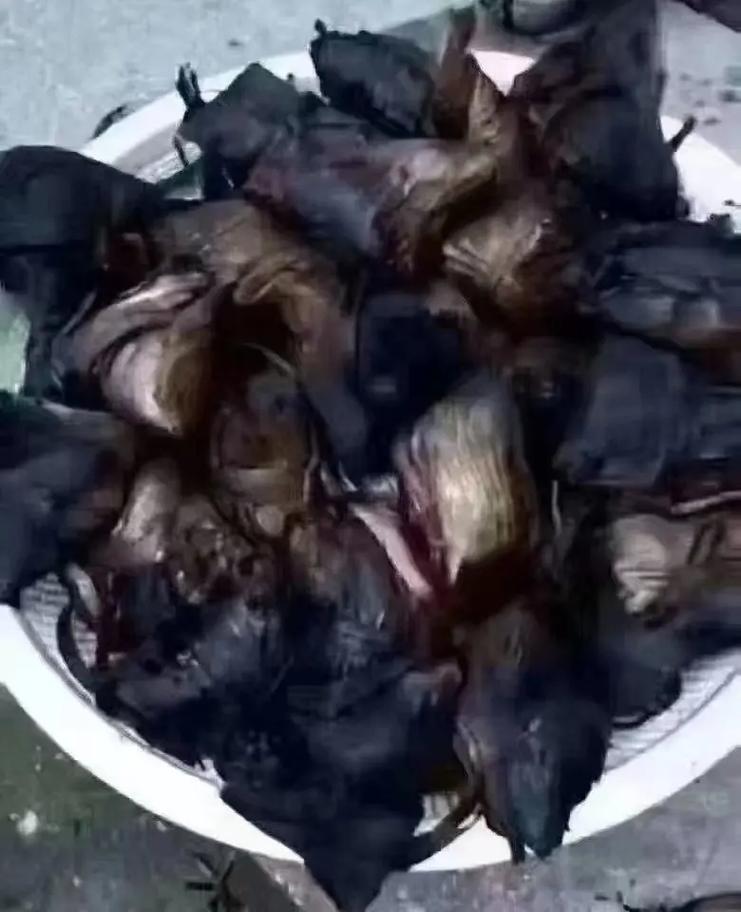 高压锅煮粽子爆炸,高压锅煮粽子爆炸是怎么回事