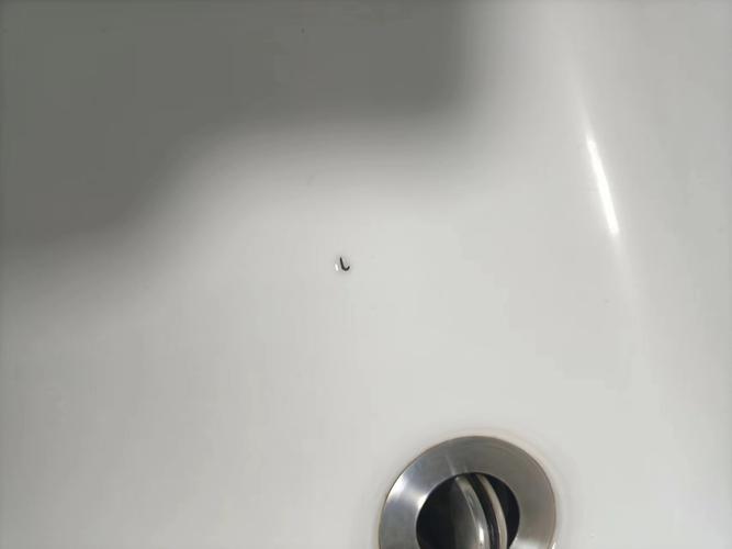 自来水中含活体虫,自来水中含活体虫吗