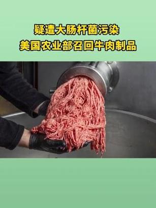 牛肉馅大肠杆菌污染,牛肉馅大肠杆菌污染大吗